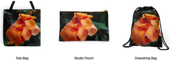 Shop for these Canna Flower cards and much more at DouglasEWelch.com/store #cards #clothing #tech #iphone #bags #prints #nature #garden #flowers #plants