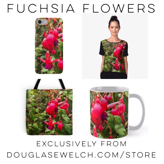 Get these “Fuchsia Flowers” cases, tops, totes and more exclusively from Douglas E. Welch