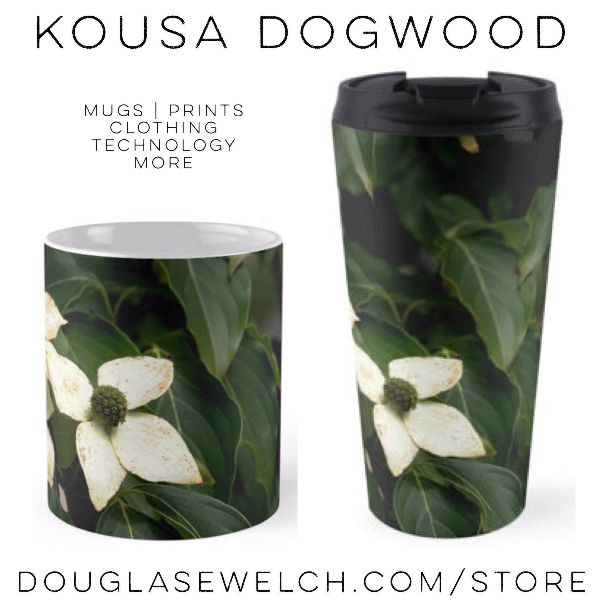 Get these Kousa Dogwood Mugs and Much More! Exclusively from Douglas E. Welch