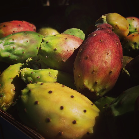 Prickly Pear Fruit/ Fico d'India at Parco dell'Etna #fruit #garden #sicily #italy #travel #park #food