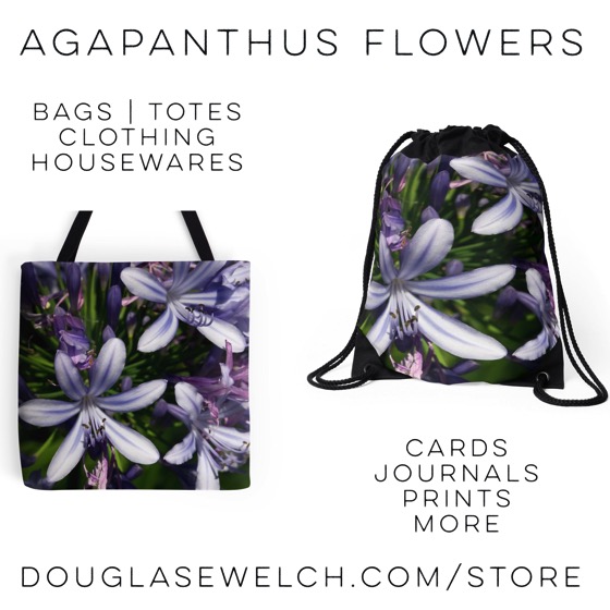 Get these Agapanthus Flowers on a variety of products