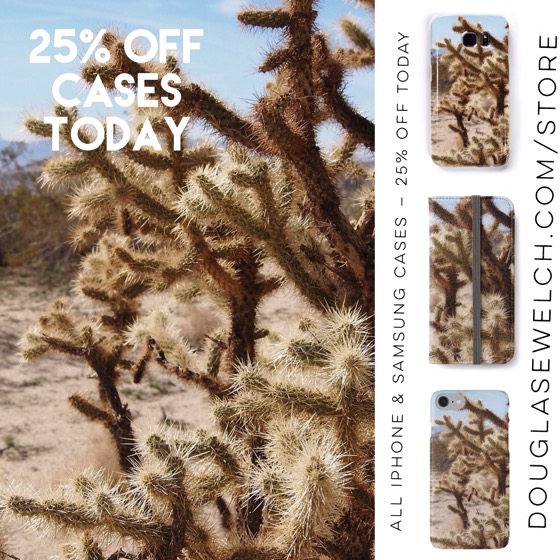 25% Off All iPhone and Samsung Cases today – Gift these Cholla Cactus (and over 100 more designs) to your friends and family today!