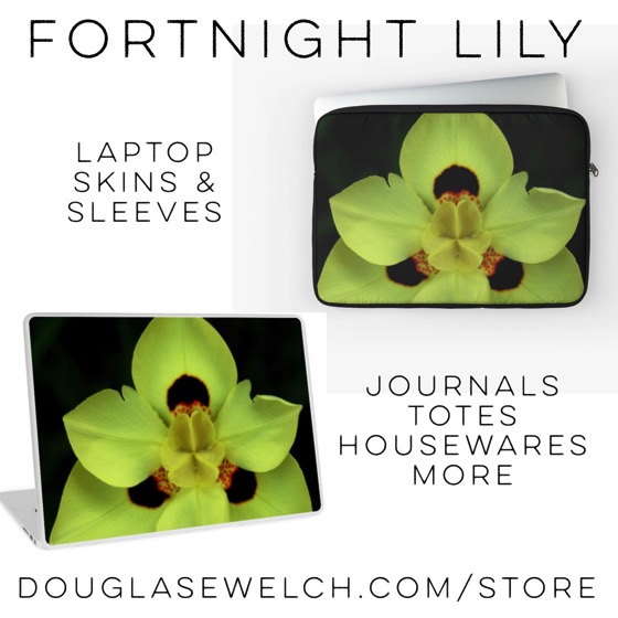 Dress up your laptop with these Fortnight Lily Skins and Sleeves and much more!