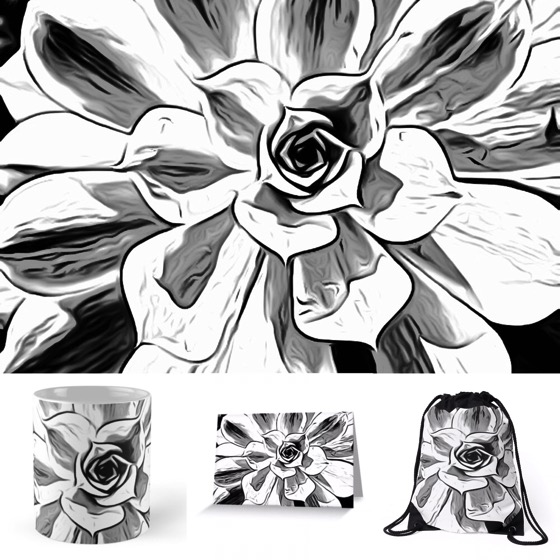 Succulent in Black and White Cards, Housewares, Bags and More from Douglas E. Welch