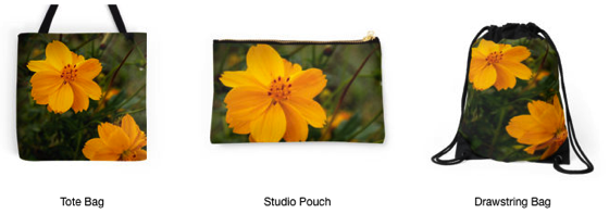 Brighten up your mornings with these Golden Coreopsis Mugs and More!