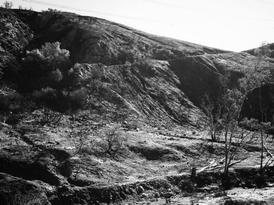 Little Tujunga Canyon, Los Angeles in Black and White