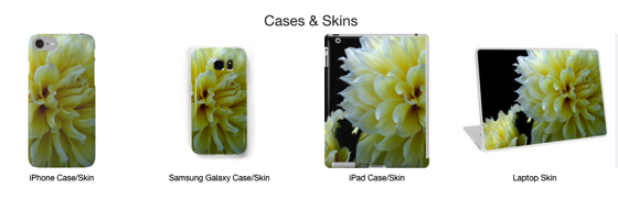 Yellow dahlia products 2