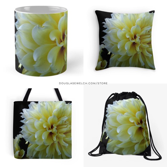 Yellow dahlia products