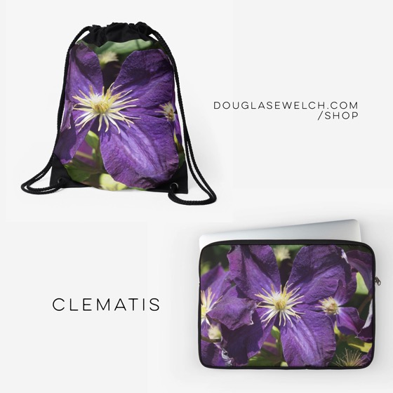 Get these “Clematis Flower” Bags, Laptop Sleeves and Much More!