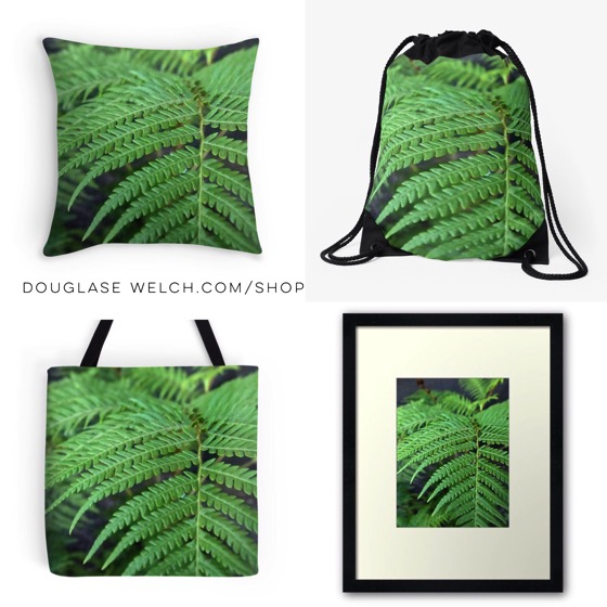 “Fern in the Forest” Totes, pillows, prints and more!