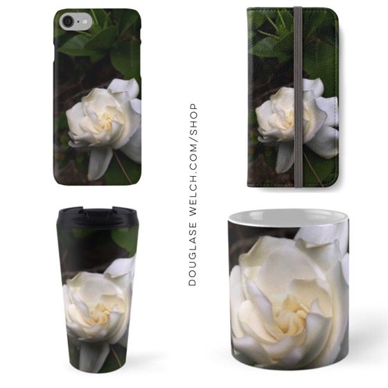 Get these Gardenia Blossoms to brighten your phone, office and commute