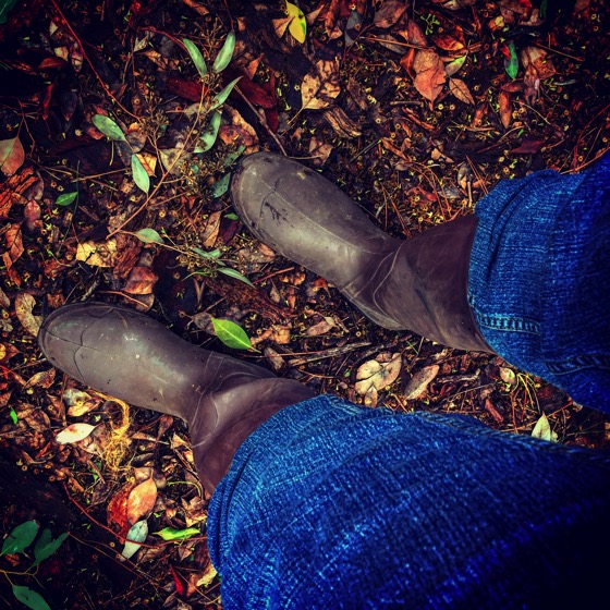 Wearing my wellies in the garden