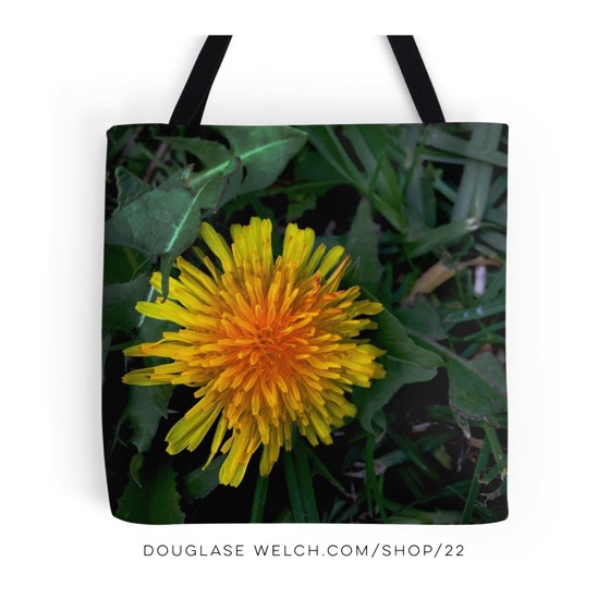 Behold The Humble Dandelion - Totes, Cards, Housewares, More