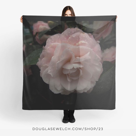 Wrap yourself in this “Pink Camellia” Scarf and find much more at DouglasEWelch.com/shop