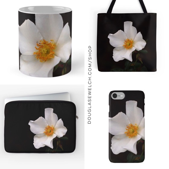 “California Winter Rose” Totes, iPhone cases, laptop sleeves and more