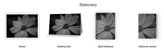 NEW PRODUCTS! White Flower Shines in Black and White - Totes, Laptop Sleeves, Smartphone Cases, Notebooks and Much More