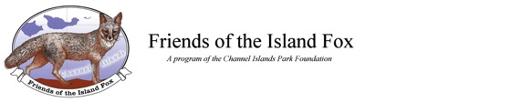 Friends of the Island Fox Logo