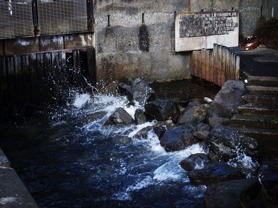 More words at Wellington Harbor via Instagram