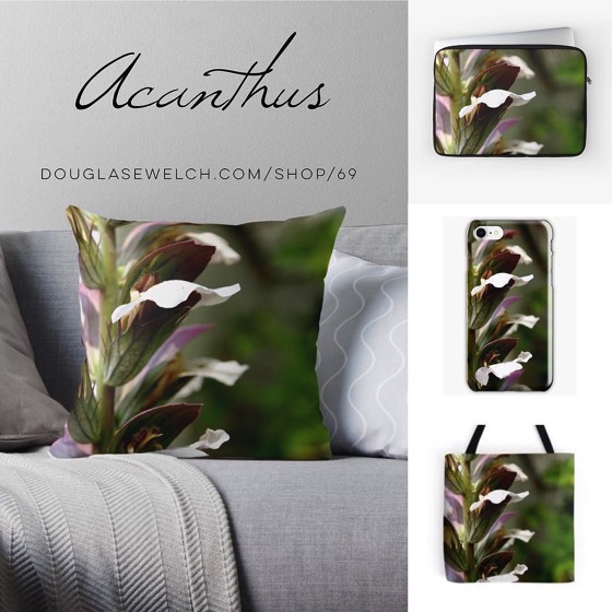 Get these Acanthus Pillows, Totes, Smartphone Cases and More!