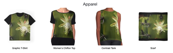 Cactus Flower Pillows, Totes, Smartphone Cases and More!