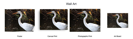 20% Off Everything Today - An Egret on Pillows, Totes, Smartphone Cases and More!