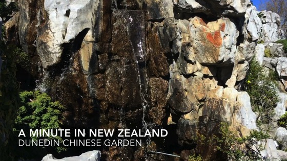 A Minute in New Zealand – Dunedin Chinese Garden [Video] (1 min)