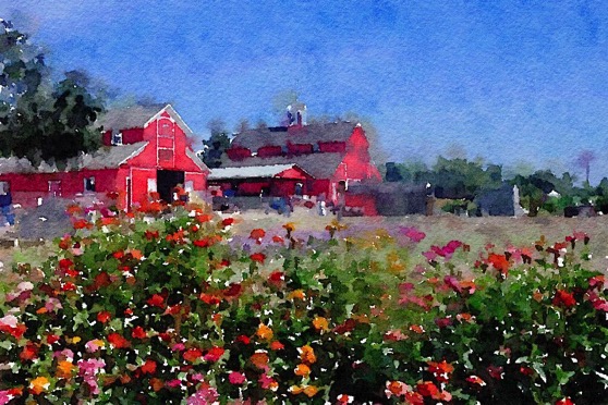 On the farm… Watercolor