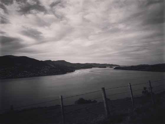Above Otago Harbor via Instagram