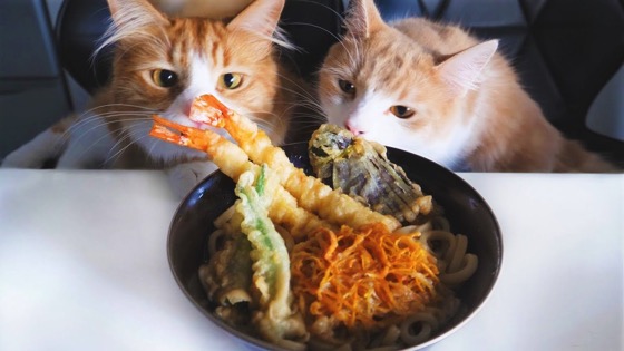 Tempura Udon Noodles via Jun’s Kitchen [Video]