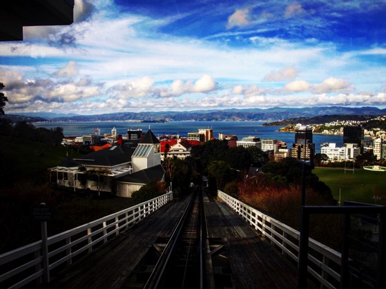 Wellington Harbor from the top of the cable car line via Instagram