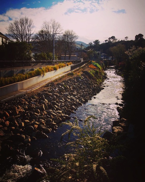 Leith River as it runs through the center of the University of Otago via Instagram