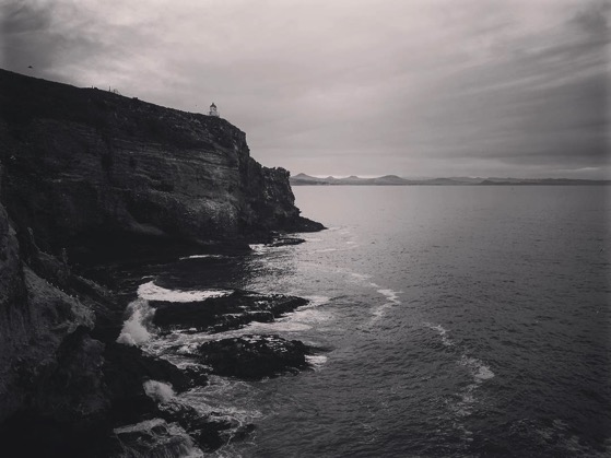 Taiaroa Head, Dunedin, New Zealand via Instagram