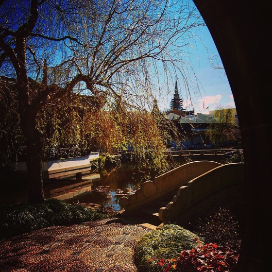 Dunedin Chinese Garden via Instagram