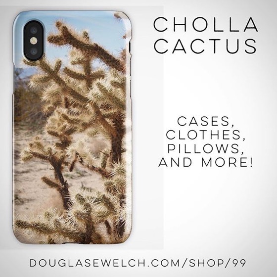 Cholla Cactus iPhone Cases, Art Prints, Pillows, and Much More! -- Check out my entire portfolio!