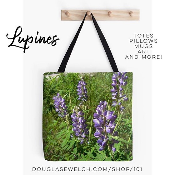 Lovely Lupines Totes, Pillows, Cases, Mugs and Much More!