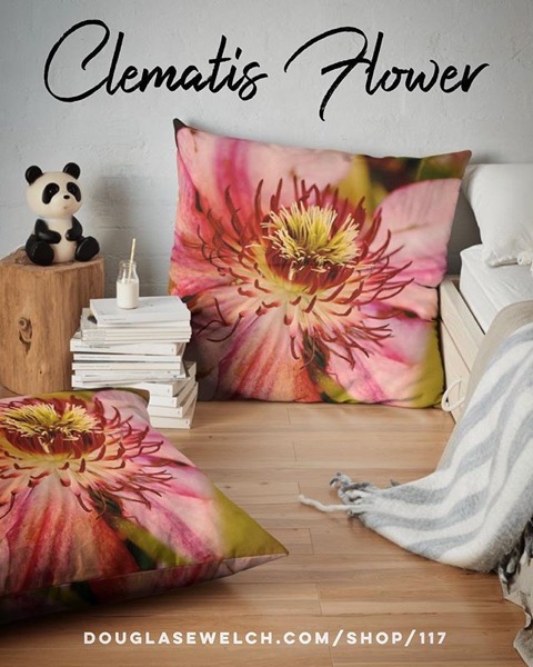 Get these Gorgeous Clematis Flower Pillows, Tees, Totes, iPhone Cases, and more!