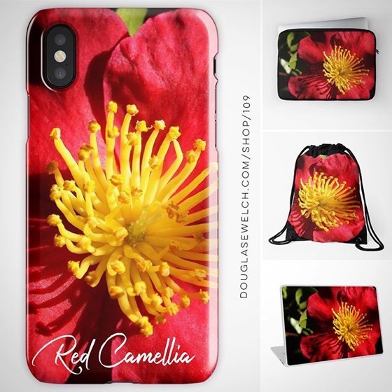 Brighten Up Your Technology with these Red Camellia iPhone Cases, Laptop Bags, Laptop Skins, and Much More!