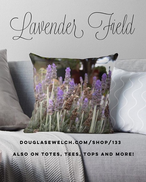 Order these Lovely Lavender Field Throw Pillows and More! Exclusively from Douglas E. Welch