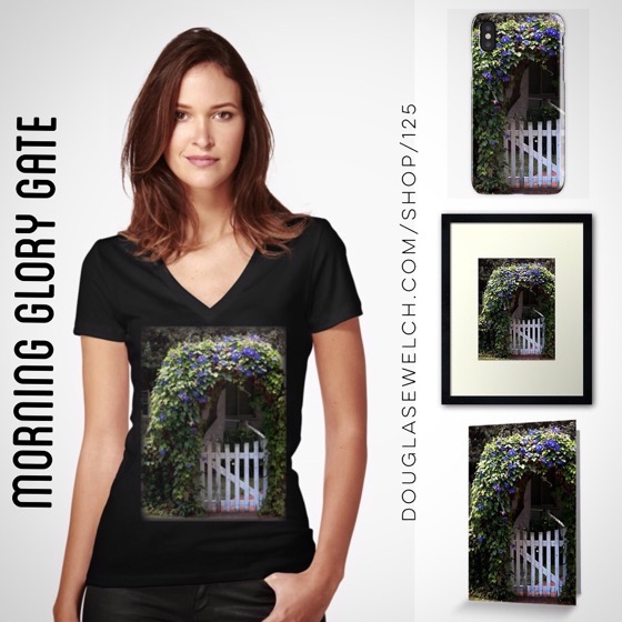 Join Me In The Cottage Garden with these Morning Glory Gate Tees, iPhone Cases, Cards and Much More