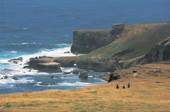 What One Tiny California Island Can Teach Us About Dealing With Climate Change via Pacific Standard