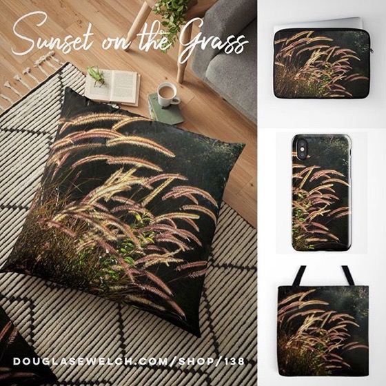Make It Summer All Year Long with these Sunset on the Grass Pillows, Toes, iPhone Cases and More!