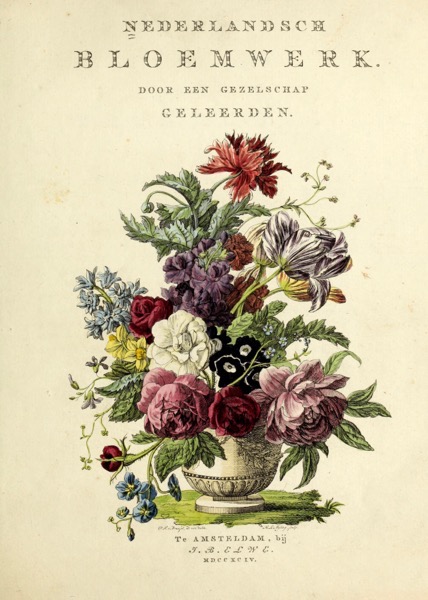 Nederlandsch bloemwerk (Dutch Flower Arrangements) from 1794 – Tops, Prints, iPhone Cases, Pillows, Totes, And Much More!
