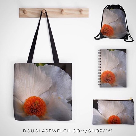 Gift These Matilija Poppy Totes, Bags, Journals and More!
