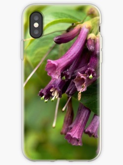 Experience A Day In The Garden with these Iochroma Flower Pillows, iPhone Cases, and Much More!