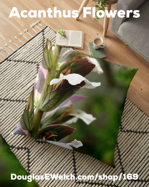 Bring The Garden Inside With These Acanthus Flowers Pillows, iPhone Cases, and Much More!