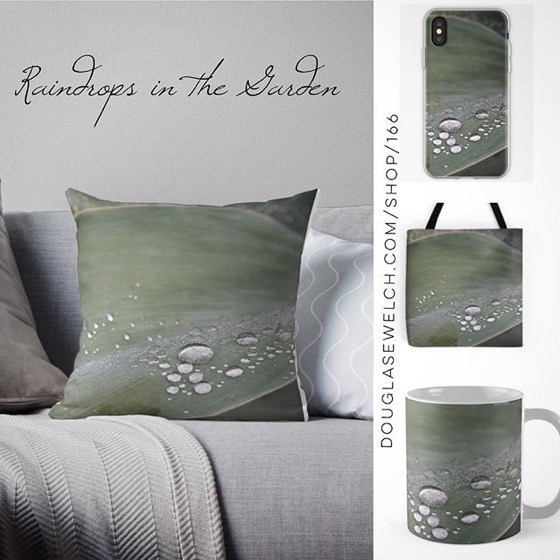 Enjoy A Rainy Day With These Raindrops in the Garden Pillows, Totes, iPhone Covers and More!