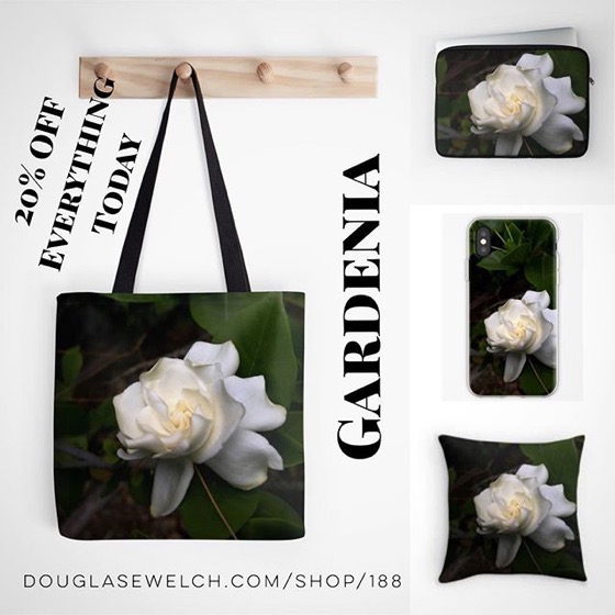 20% OFF Everything Today! – Get This Glorious Gardenia From My Garden on These Throw Pillows, Totes, Phone Cases And More! [For Sale]