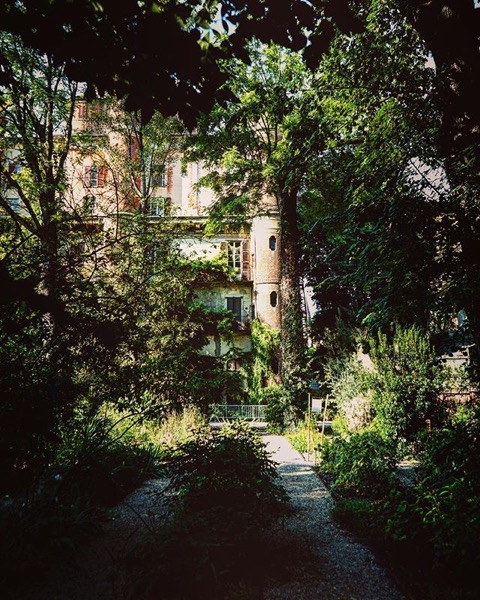 Scene from the Orto Botanico in the Brera District of Milan via Instagram