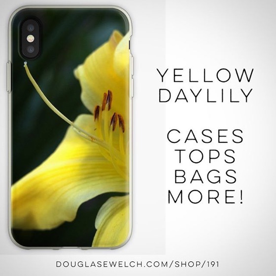 Get This Shining Yellow Daylily on These iPhone Cases And More! [For Sale]