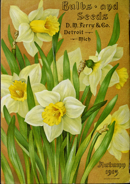 Vintage Yellow Daffodils by Douglas E. Welch [For Sale]